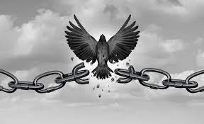 There is a cost for freedom, but the reward is worth it! What are you breaking free from today?

#freemind #freeheart #freesoul #freebody #worththeprice #motivationalspeaker #educators #theoldmedidnotunderstand #divinepurpose <a href="/edyougrow/">Twyla Bozeman-Dean</a>