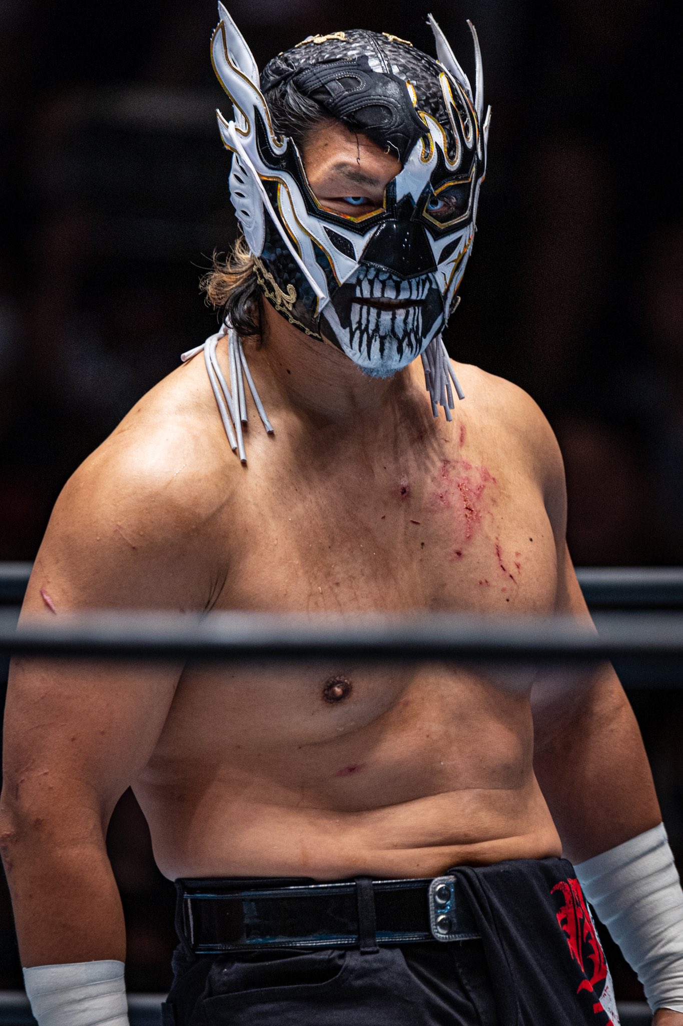 プロレス マスク エル デスペラード 選手EL DESPERADO 折り込む