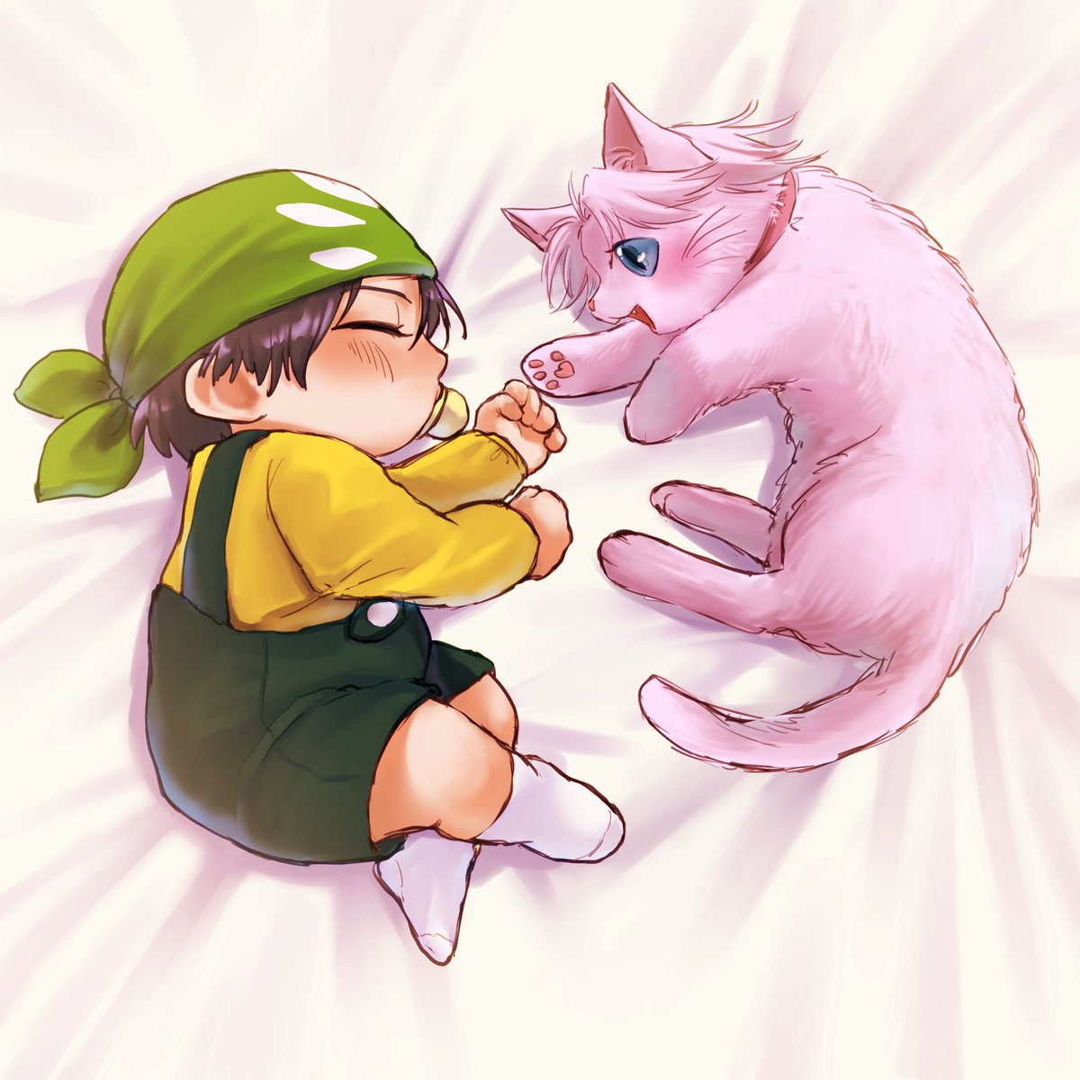97red3_tnpr's tweet photo. にゃ🐱 https://t.co/St10NiKOh1