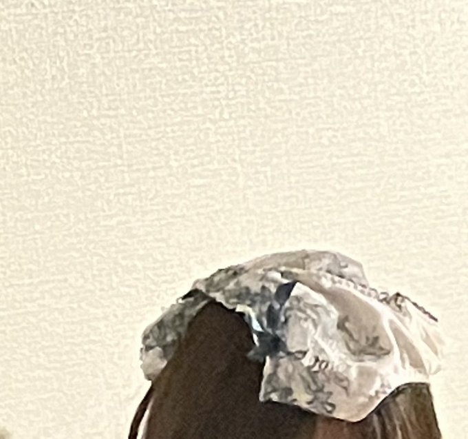 りりちゃんの頭の上に何か乗ってるなーと思って見たら&hellip;😂笑 Aya https://t.co/J3XdKCZjRw