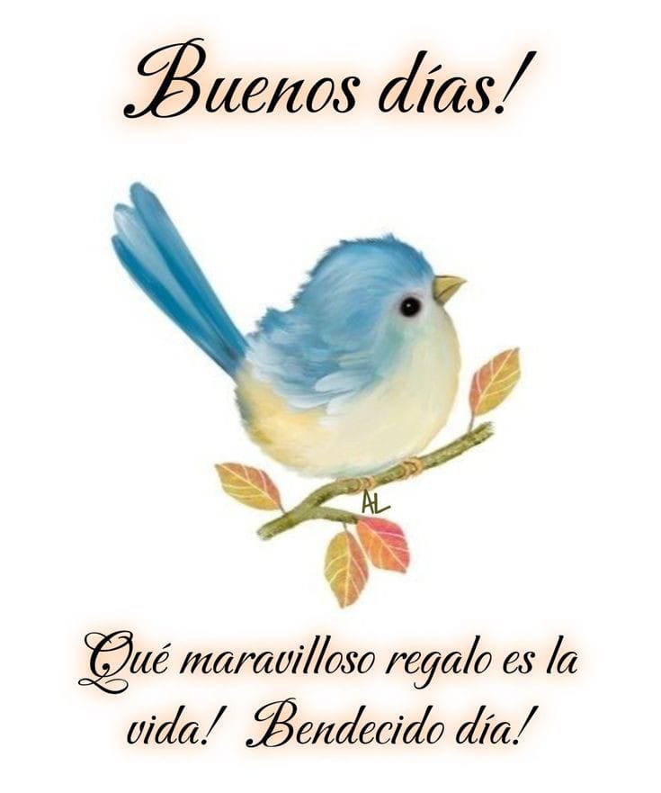 Excelente día 🌞