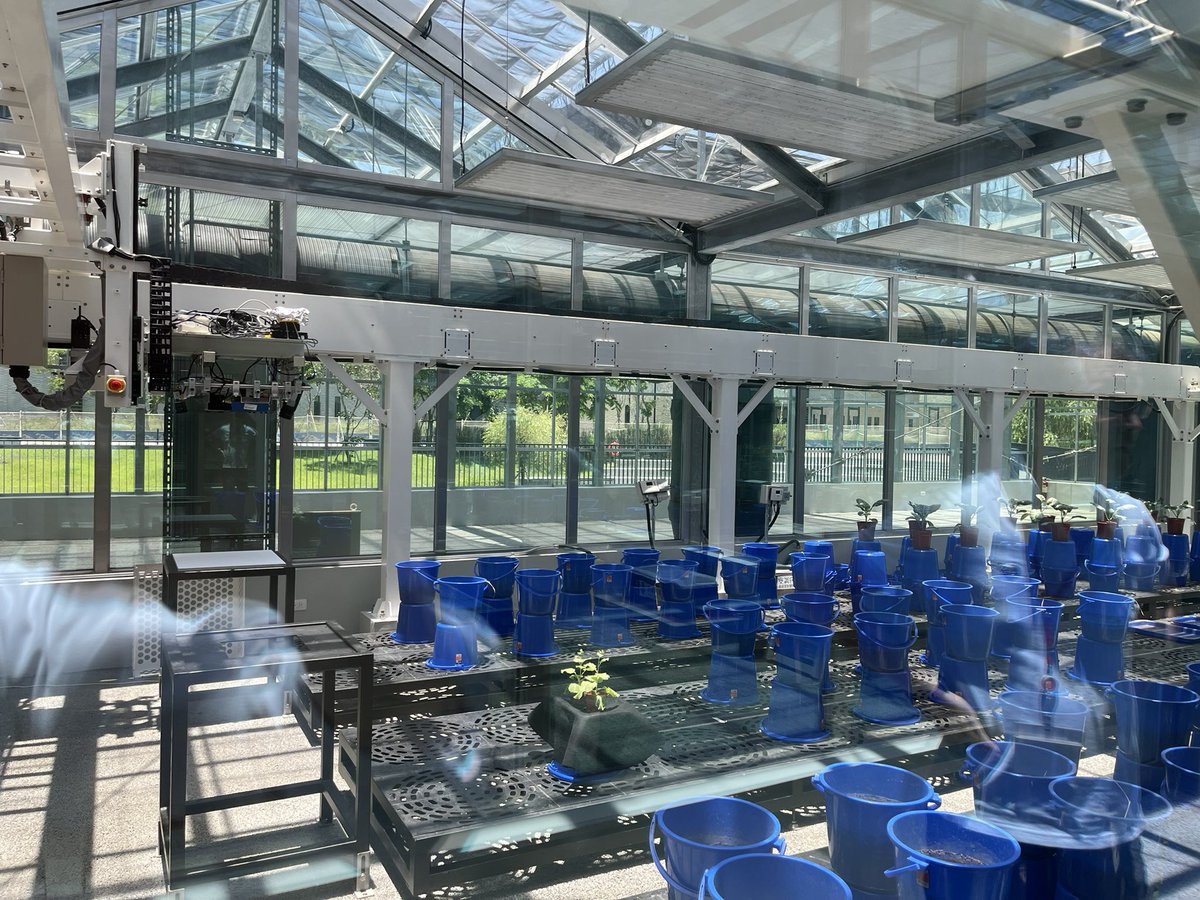 UgaZaku's tweet photo. Today I held a root phenotyping workshop at Biotechnology Center in Southern Taiwan. After that, I visited the phenotyping platform in this institute. It is a gantry type mobile camera system made in Taiwan. https://t.co/LkJXw53jEt