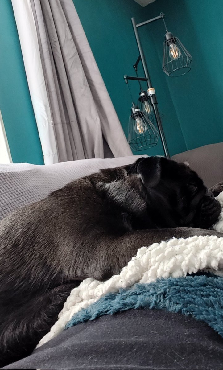 Little man isn’t well today. Hate seeing him so weak and tired. He’s usually bouncing off the walls. Hope we can get him back to himself soon.