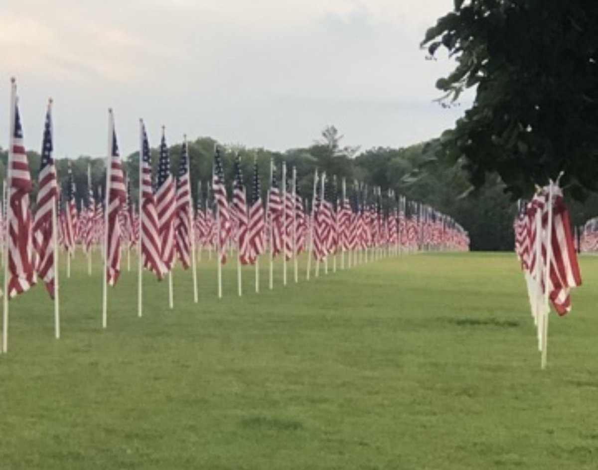Wishing you all a Happy 4th of July! 
#GOTIGERS <a href="/CUSD200/">CUSD 200 #YourCommunitySchools</a>