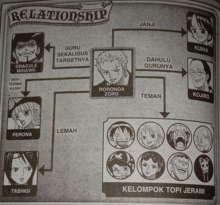 Zoro And Luffy Relationship