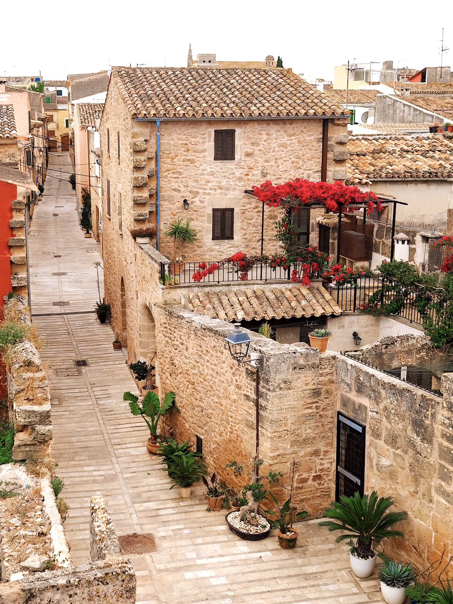 Snaps from Alcudia Old Town, Mallorca ☀️🫶🏻🌵🪴

#travelblog #travelblogger #spain #mallorca #alcudia