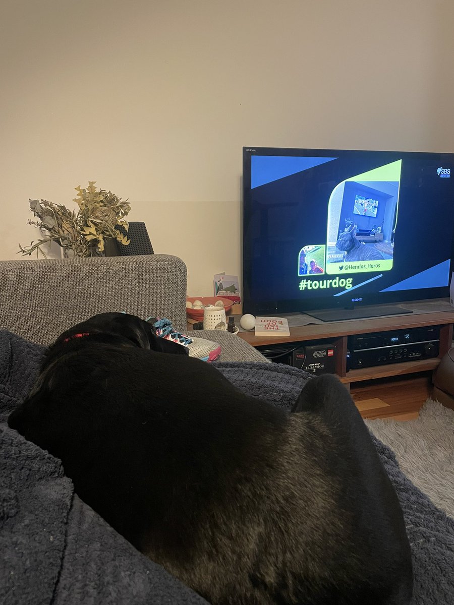 #tourdog inception <a href="/SBSOnDemand/">SBS On Demand</a> #TDF2023