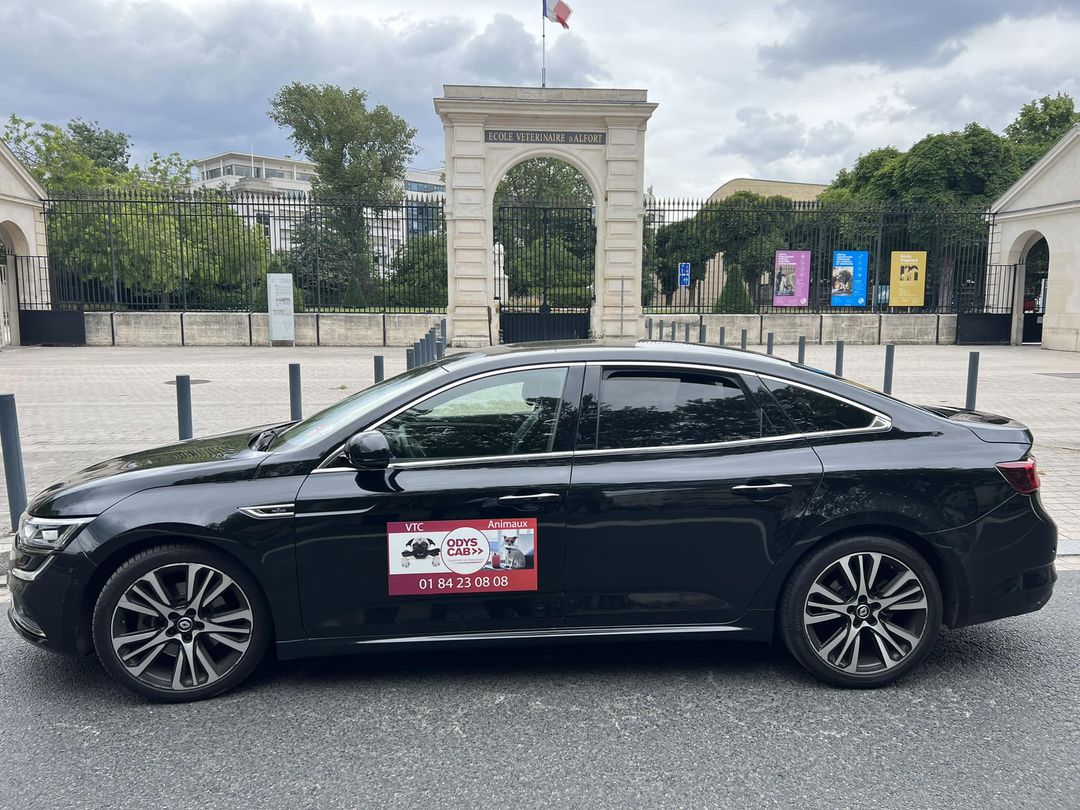 Odyscab's tweet photo. Bon courage à notre ami à quatre pattes le labrador croisé pour ses examens Ecole Vétérinaire De Maison Alfort

Odyscab, PARIS
VTC/Taxi animalier
Nos Véhicules sont équipés pour accueillir les animaux.
+33 1 8423 0808 https://t.co/DAyHkkfS1s