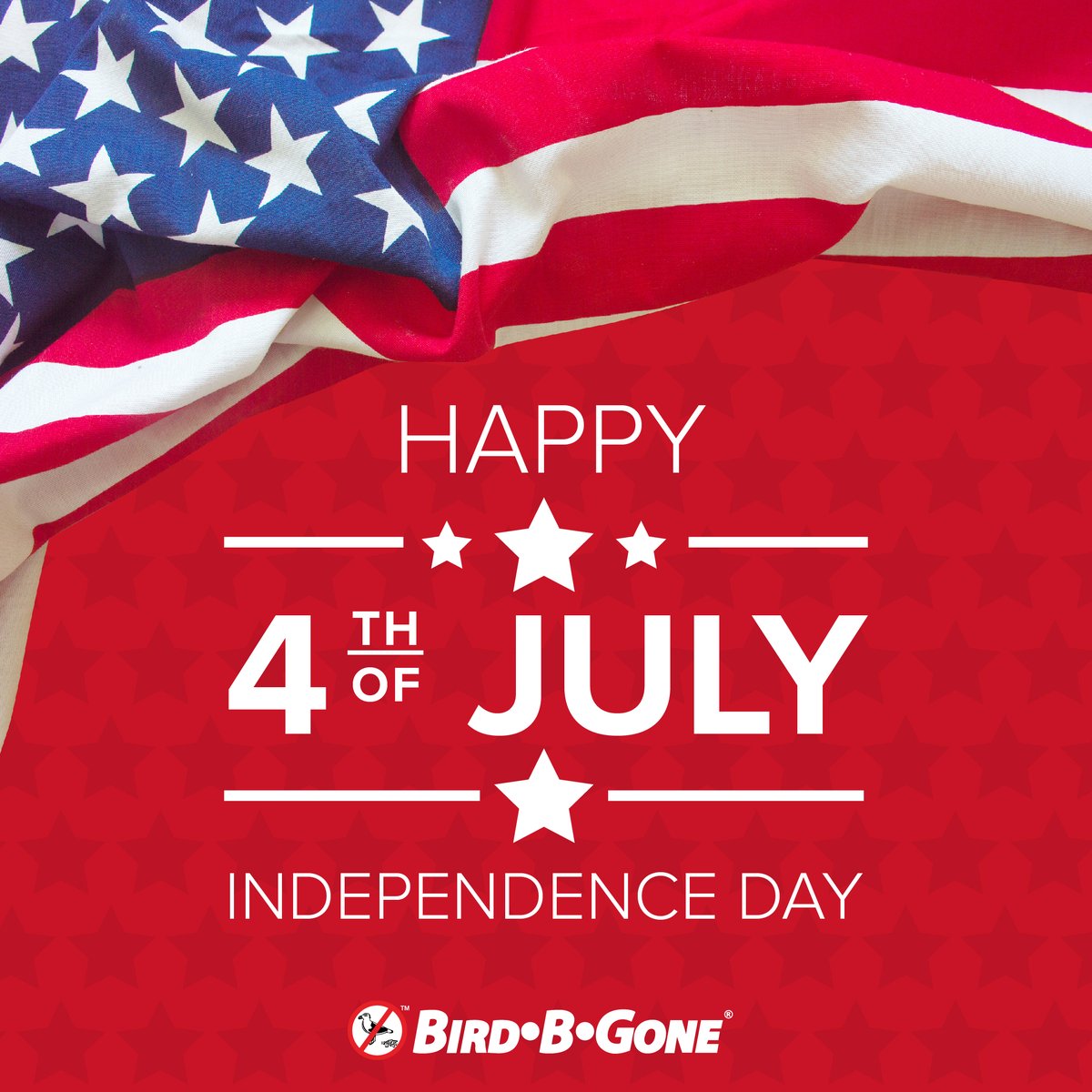 birdbgone's tweet photo. Bird B Gone would like to wish you a happy 4th of July! Are you celebrating with an outdoor BBQ? See what bird control methods our experts recommend for Outdoor Dining areas! Bird Control for Outdoor Dining: https://t.co/QV6Blwi9mM https://t.co/yxNi38au2C