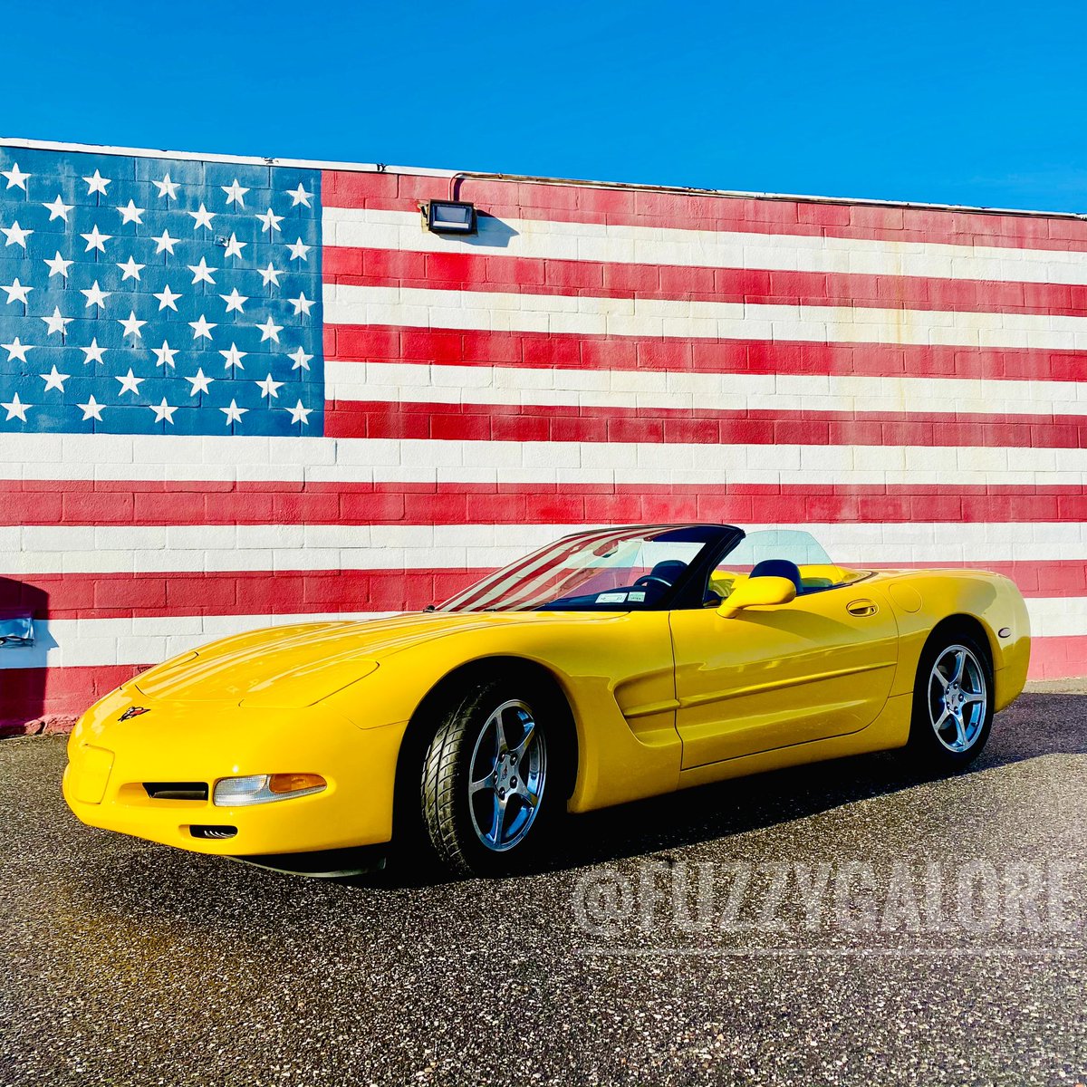 Fuzzygalore's tweet photo. #IndependenceDay https://t.co/3tgaQmd0Cs