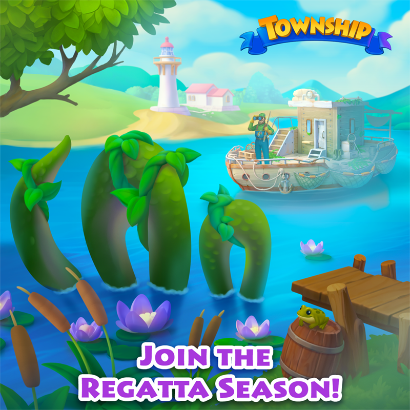 Township tweet media