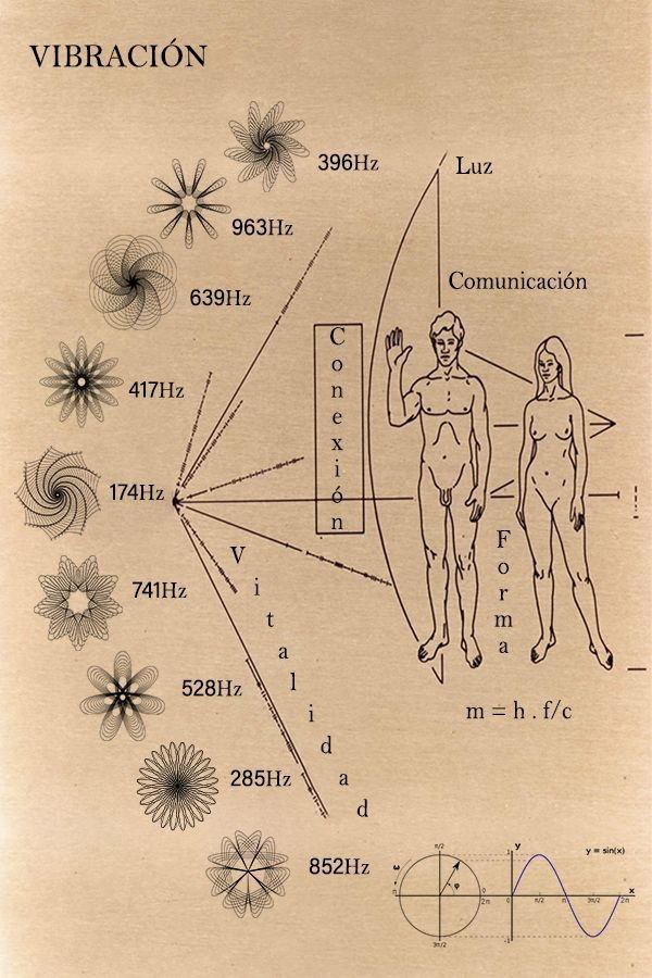 ⚡️✨ La ciencia nos revela un fascinante descubrimiento: ¡todo es energía vibrando a diferentes frecuencias! 🔬🌌

¿Sabías que la enfermedad ocurre cuando vibramos a una frecuencia baja? 

Pero si elevamos nuestra vibración podemos mejorar nuestra Salud. 

¡Sigue leyendo! 🌟
👇🧵