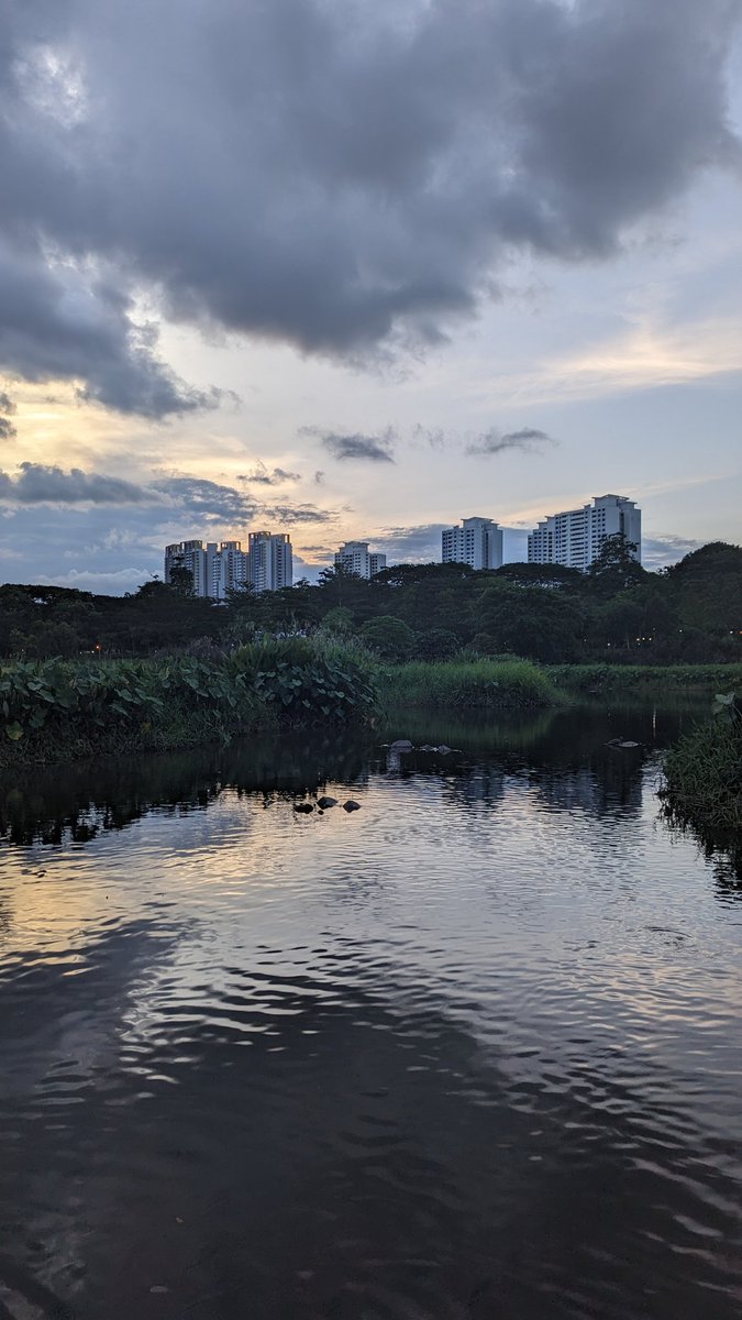 ithinkabt's tweet photo. #sunset https://t.co/TOGwctqNZC