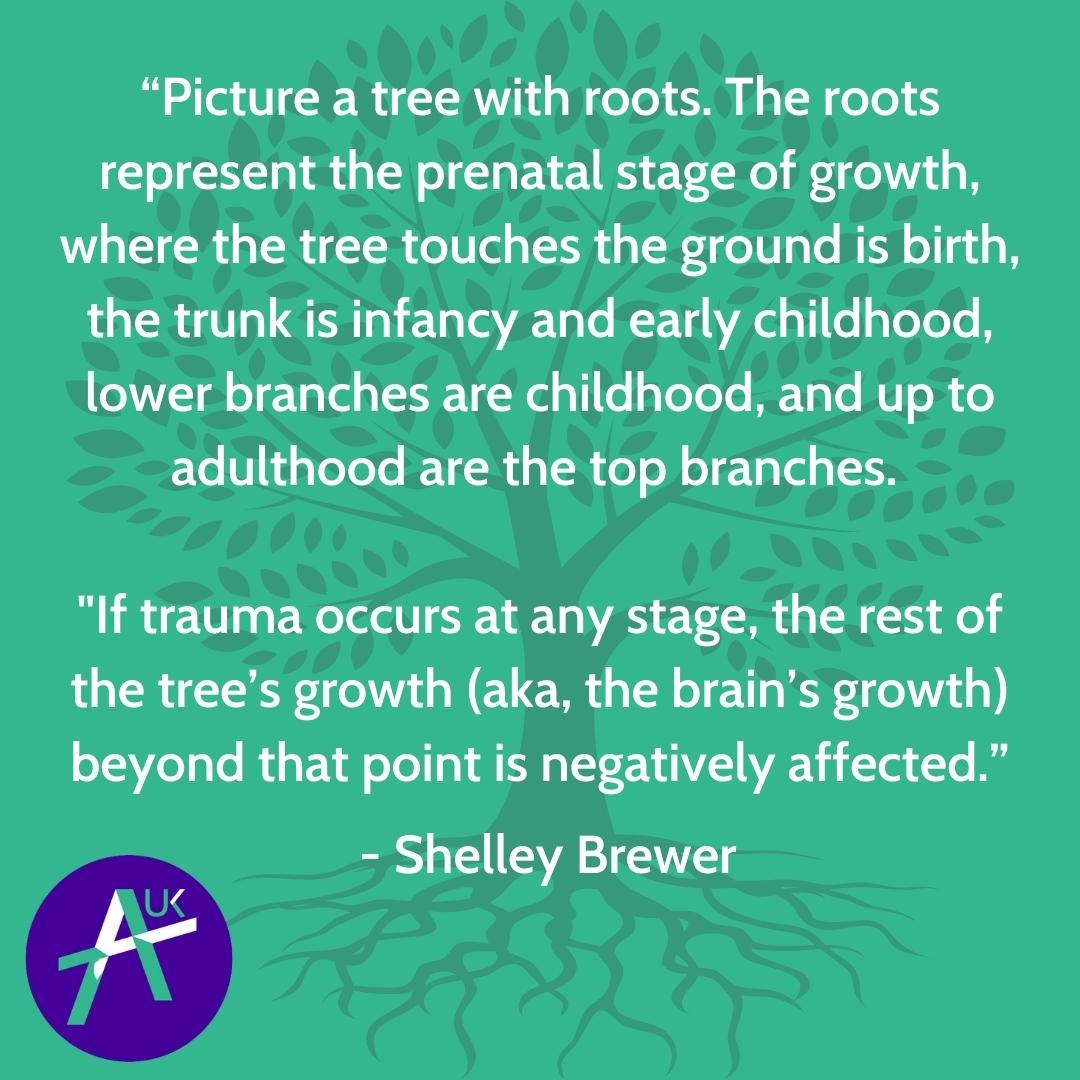The Trauma Tree shows how early experiences can continue to impact a child into adulthood. Therapeutic parenting can create a healing environment and aid your child's development: our factsheet explains more ow.ly/MEXe50P1iRg