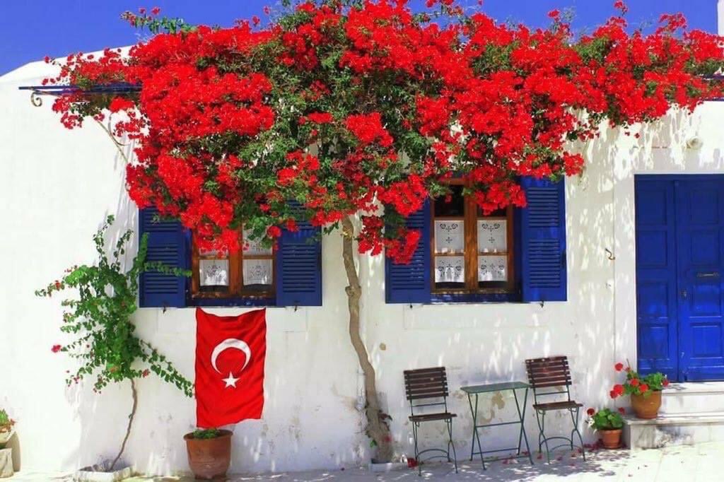 Merhabalar.
Paylaşımı görebilen takipte olan,olmayan değerler.

Düşündüm de;
Paris’te insandan çok fare varmış ay sokaklar çöp dolmuş derken Demokrasi var ortalık da karıştı.

Paris de evlendik diye hava atanlar, örnek alanlar, kaçıp R yapanlara 😂

Endişem yok!
Derdim Tezkere 🇹🇷