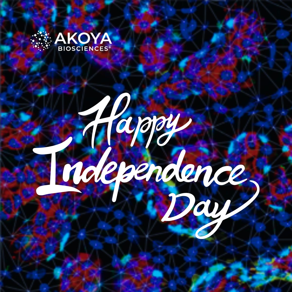 AkoyaBio's tweet photo. Happy Independence Day! Like the Revolutionaries worked to crack the British code in invisible ink to free our nation, Akoya strives to identify and break the cancer code so that we may all celebrate a life of cancer independence.
#independenceday2023 #akoyabio #spatialbiology https://t.co/i5qnc4bywa