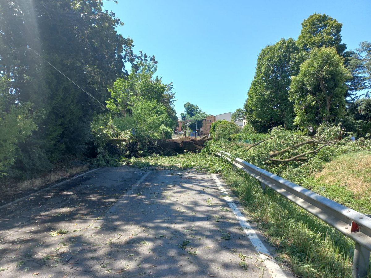 provinciamodena's tweet photo. MALTEMPO
A #Castelfranco Emilia è chiuso un tratto della #sp14 in località “Pioppa” a causa di tronchi e vegetazione caduti sulla STRADA nella scorsa notte, in seguito all’ondata di maltempo e forte vento che ha interessato diverse aree del territorio provinciale https://t.co/P5pWZtkvpK
