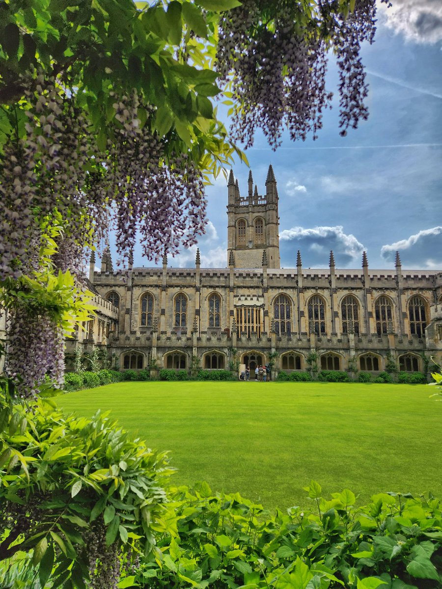 Babar Akbar tweet media