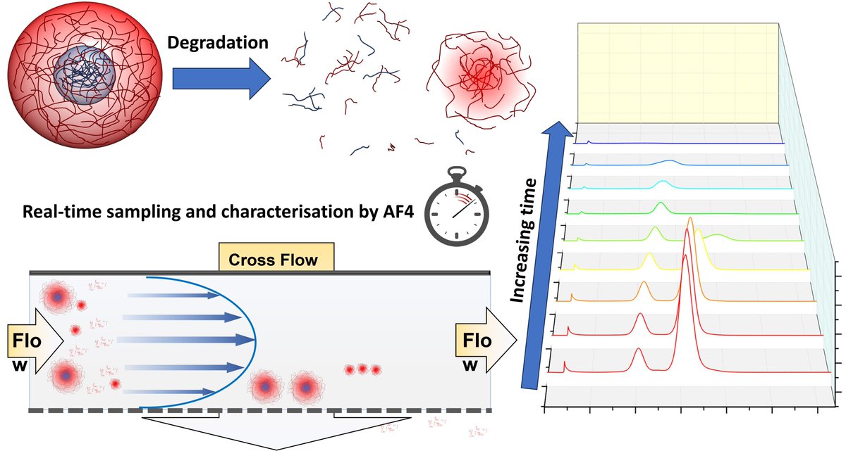Edyta (<a href="/elewand90/">Edyta Niezabitowska</a>) and Dom's (<a href="/DrDomGray/">Dominic Gray</a>) paper on the using asymmetric flow field flow fractionation (AF4) to characterise the degradation of core-shell nanogels is now available. AF4 is a very useful for looking at nanoparticle degradation behaviour.

mdpi.com/2079-4983/14/7…