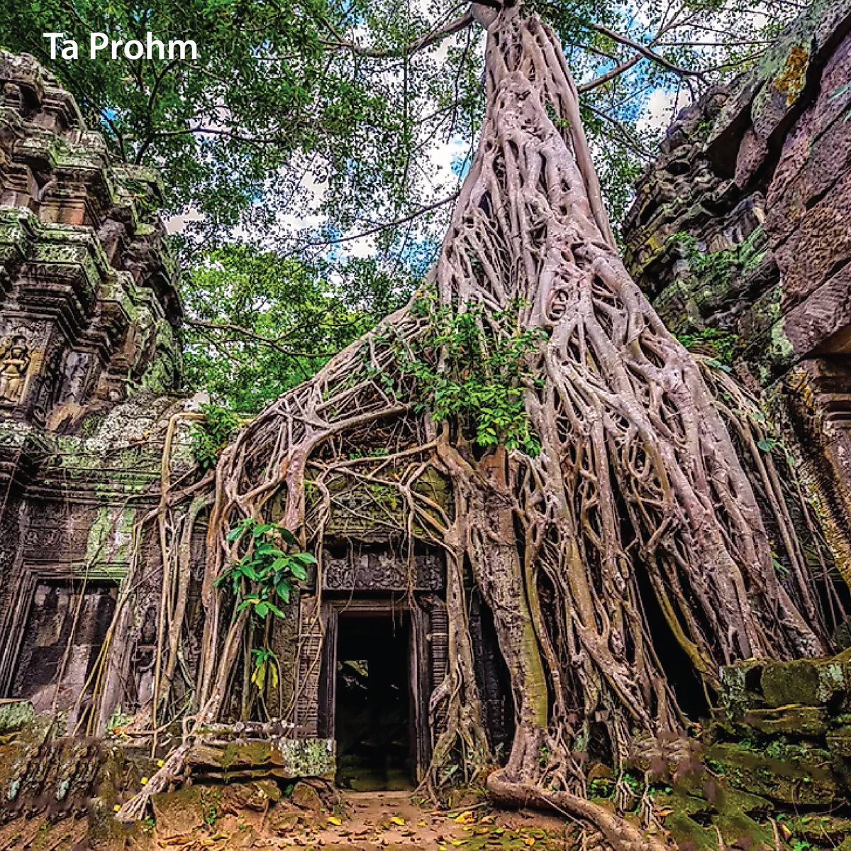 🌴🏯✨ Bring Cambodia's Magic to Light! 

#CambodiaAdventures #AngkorWat #ExplorePhnomPenh #KhmerCulture #TemplesOfCambodia #TravelCambodia #WanderlustCambodia #BucketListDestination #SoutheastAsia #CambodiaUnveiled