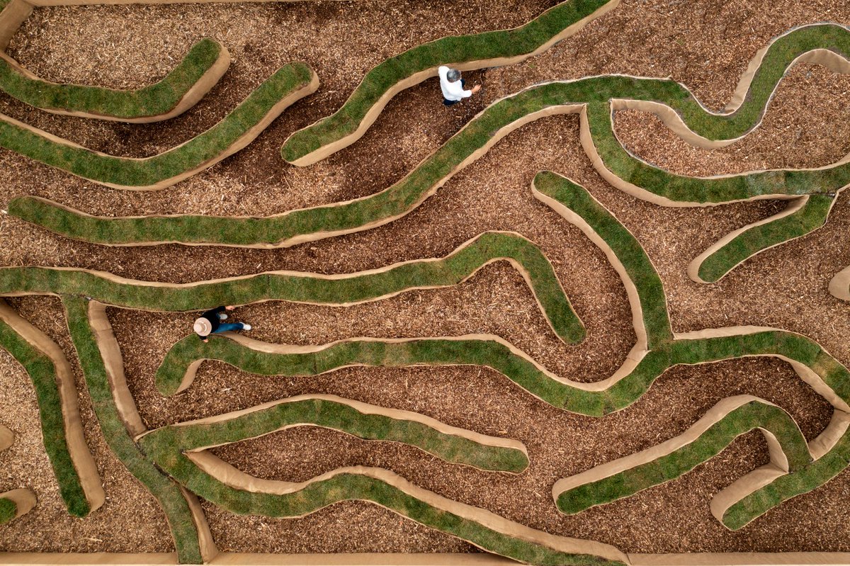 fredericpitre tweet media