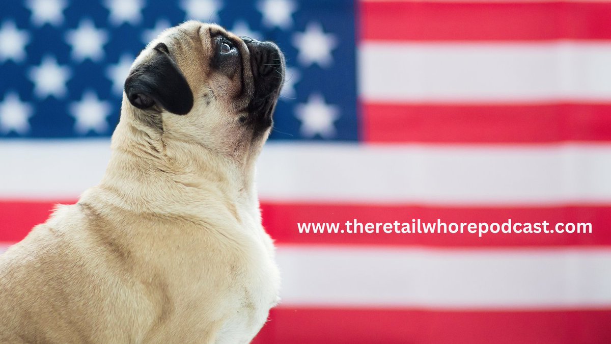 “I love fireworks! Said no dog ever. 🧨Please remember. Fireworks scare pets. More pets are lost on 4th of July than any other day. Keep them inside &amp; calm during fireworks. #independenceday #fourthofjuly #julyfourth