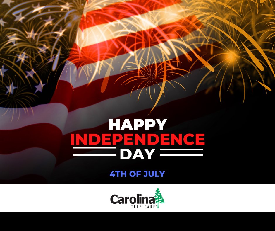 CarolinaTree1's tweet photo. Happy Fourth of July! 🇺🇸 We hope you're enjoying this Independence Day with family, friends, and plenty of good food 🌭🍔. #fourthofjuly #independenceday https://t.co/PzWDafTiKA