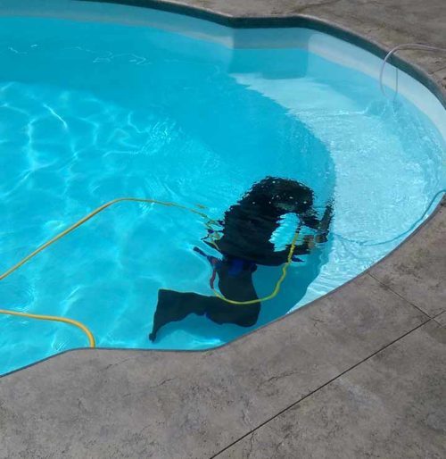 Happy 4th of July!!
Loosing water faster than the Sun can turn it to vapor in this Florida heat?????
  Maybe it's a LEAK, and we are your hometown team to find the problem!

Call us and schedule your leak detection today!
(727)-221-1705
 
#MakingPoolsGreatAgain #AquaServ #AquaSe