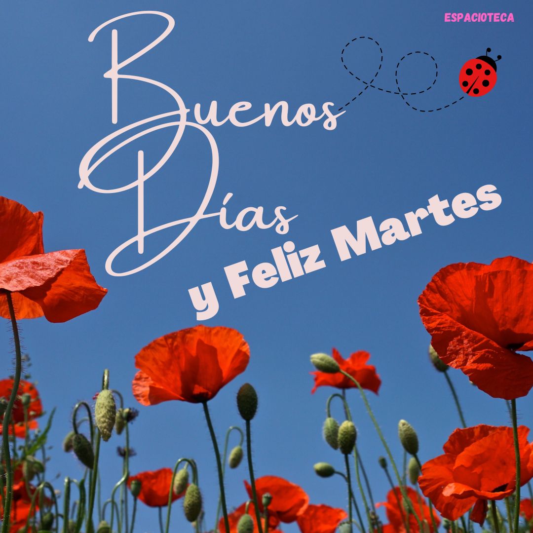 Que tengan un maravilloso martes, buenos días compañer@s @roannys2111 @Albanis61923370 @DianaJosefinaI4 @vilma_eterna @kiara2521 @Anaconda625 @arelis_rm @Michu3006 @JosRodi6 @maida1948 @MQuierpa @Idalia50M
#PuebloConscienteYMovilizado