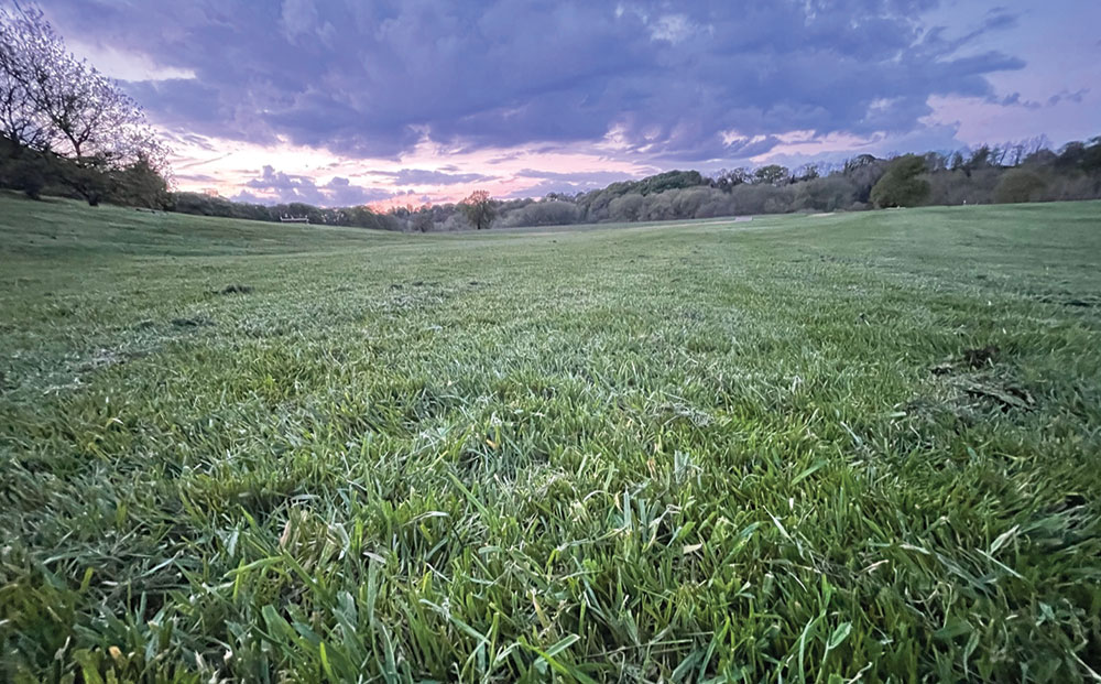 Pitchcare's tweet photo. An eventful business @somerfordpark 

Creating a natural looking environment for a busy equestrian event venue takes a surprising amount of work. @ironned finds out more 👇 
https://t.co/5EFWz7QOgz

#equestrian #somerfordpark #Cheshire #BritishEventing https://t.co/vF7Zw8AGBW