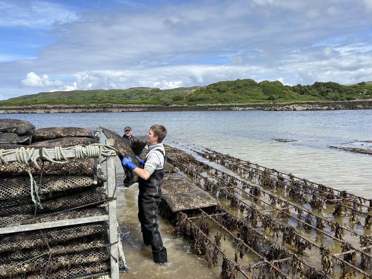 Working on the tide today. Harry’s been with me full-time for 6 years and Cailean has just left school and hoping to pursue a career in the merchant navy.
