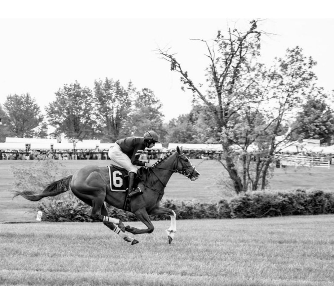 AshwellStable's tweet photo. HOFFMAN got the zoomiez ποΈποΈπ₯
Looking forward to summer racing with this one ππͺ
@LeslieYoung1 @horsefirst #MichaelASmith #HOFFMAN #horsefirstsupplements #thespa https://t.co/dHgl3z7xMU