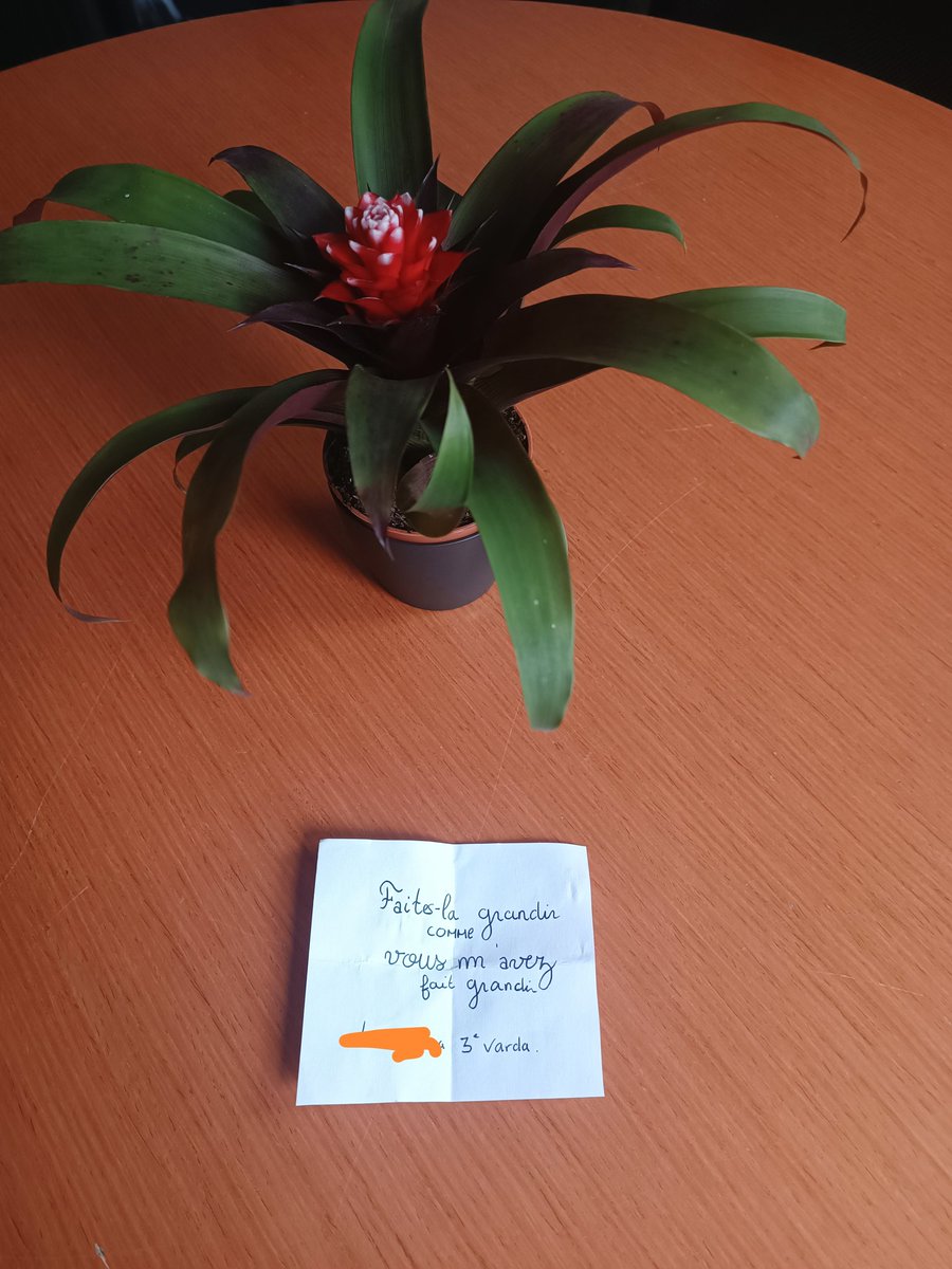 Petit arc en ciel au milieu d'une actualité morose.

Votre futur est notre boussole.

Tes difficultés et notre aide ne pèsent pas lourd face à ton mérite.
Sois heureuse et épanouie !
Merci mille fois. 
#2heuresdecollepouravoirfaitpleurerledirlo

<a href="/Victoir47673467/">Thomas Victoire</a> 
<a href="/alongueville76/">Augustin Longueville</a>