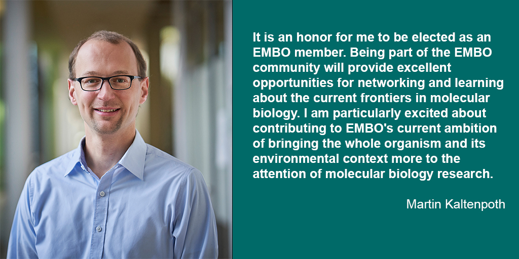 We are very proud that our director Martin Kaltenpoth from the @Kaltenpoth_Lab has been elected as a new EMBO member for outstanding contributions to biological research. #EMBO ice.mpg.de/450151/Martin-…