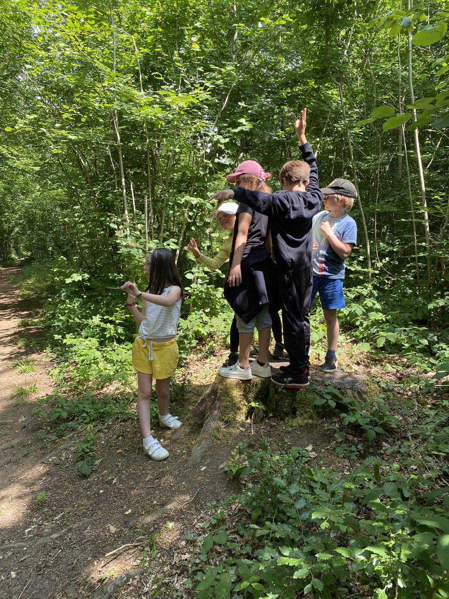 Circuit au <a href="/ventdesforets/">Vent des Forêts</a> et animation nature  une très belle journée dans la forêt pour tous les élèves de l’élémentaire dans le cadre de leur  parcours artistique 🌳 <a href="/DSDEN55/">DSDEN55</a> <a href="/daac_nancy_metz/">Sophie Renaudin #EAC #lecture #oral #territoires</a> <a href="/ICommercy/">IEN de Commercy</a>