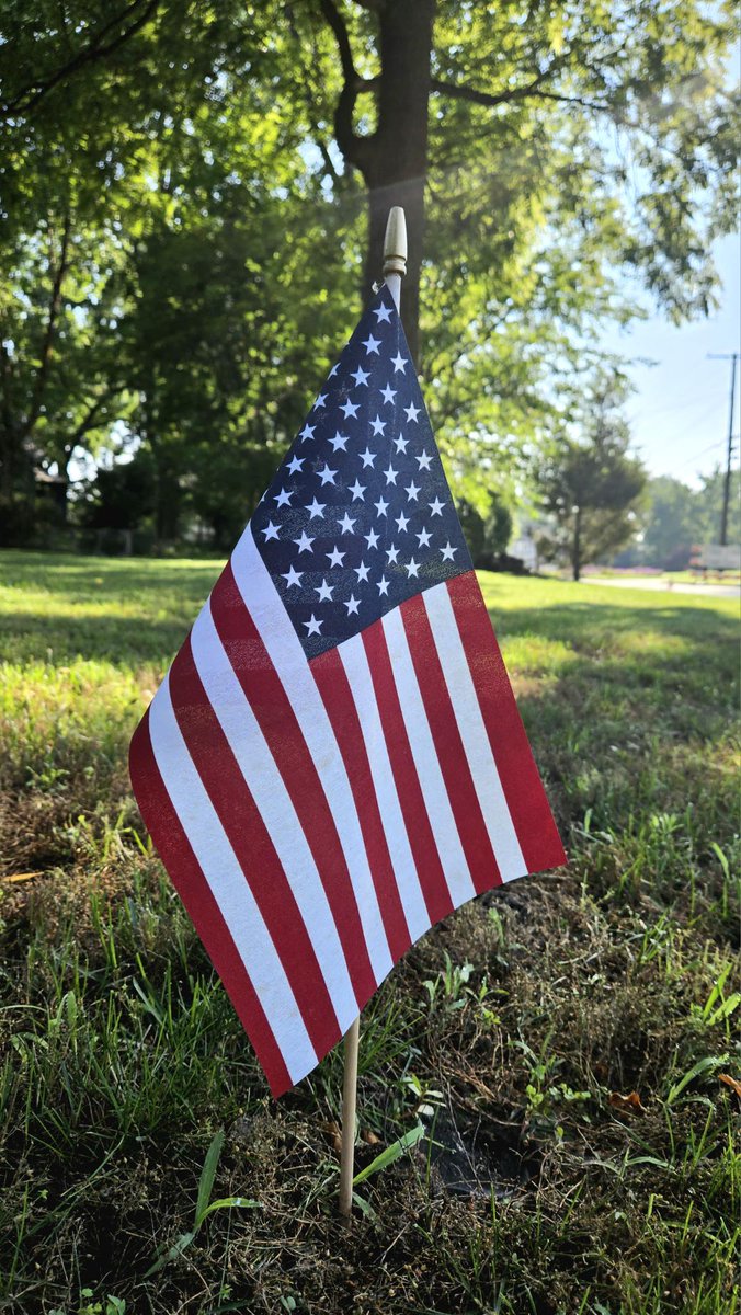 ddstein's tweet image. Let freedom ring.