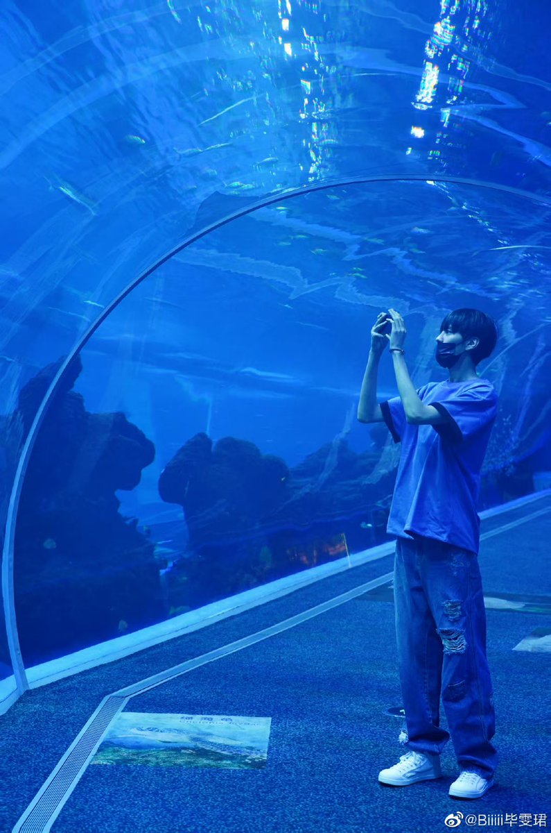 biiiiwenjun's tweet photo. 💬230704 Bi Wenjun weibo update
.
“🐟🐠🐡🦭🦈🐋 “
（1/3)

#Biwenjun #ปี้เหวินจวิ้น #毕雯珺 https://t.co/8Np4H92HWN