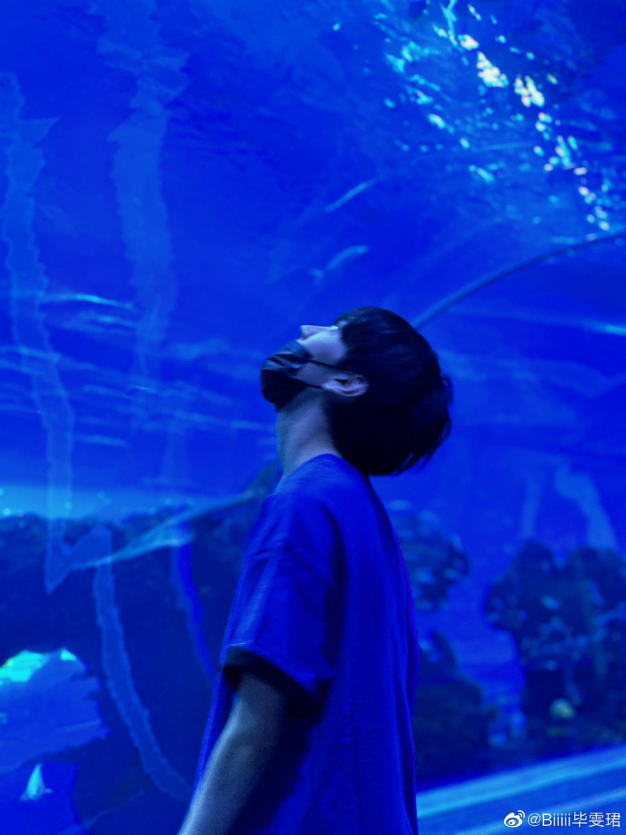 biiiiwenjun's tweet photo. 💬230704 Bi Wenjun weibo update
.
“🐟🐠🐡🦭🦈🐋 “
（1/3)

#Biwenjun #ปี้เหวินจวิ้น #毕雯珺 https://t.co/8Np4H92HWN