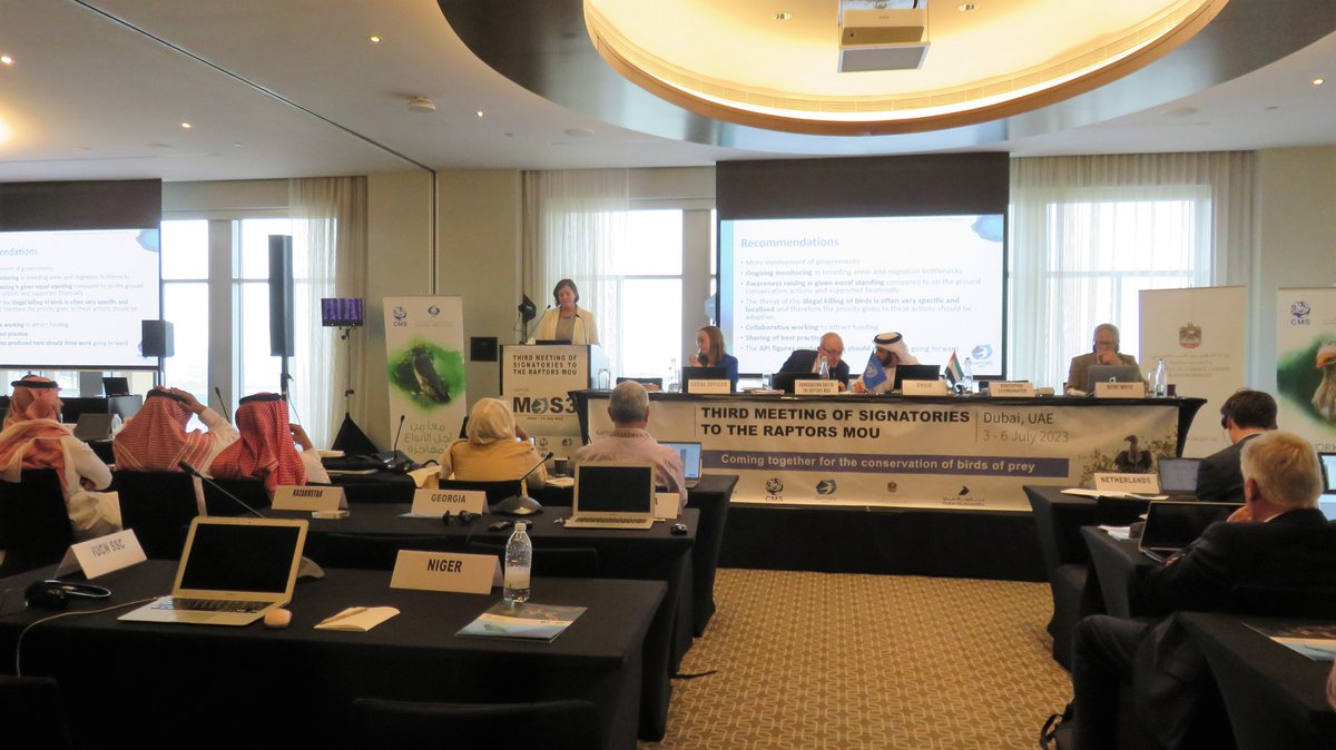 numenini's tweet photo. @BonnConvention #RaptorsMOS3 @BSPB_BirdLife &amp; @RSPBNews presented outstanding Egyptian Vulture New LIFE project: 22 prtners, 14 nations working together along flyway to save this species from extinction: insulating 1500 dangerous pylons, new antipoison units, 5mill people engaged https://t.co/akF9MPWQfX