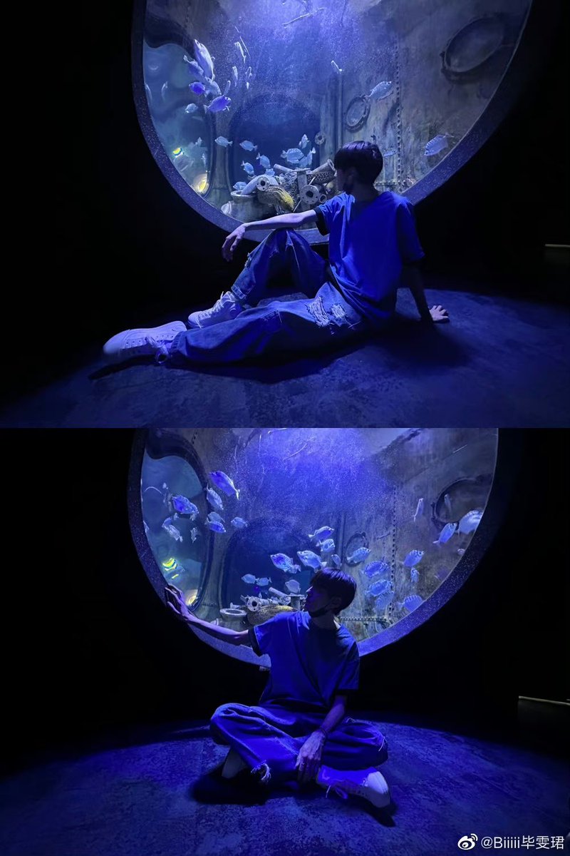 biiiiwenjun's tweet photo. 💬230704 Bi Wenjun weibo update
.
“🐟🐠🐡🦭🦈🐋 “
（2/3)

#Biwenjun #ปี้เหวินจวิ้น #毕雯珺 https://t.co/O11jsl7Hgr