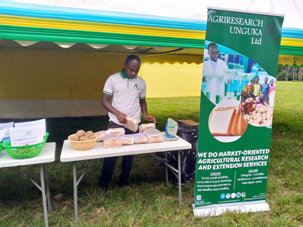 1/2 In the spirit of celebration of this historic day of #liberation29 in @MusanzeDistrict that took place in Busogo Sector; we grabbed the opportunity to exhibit #InyamibwaPotatoBread.we stand as a testament to unveil the transformative power of our collective role as youth ....