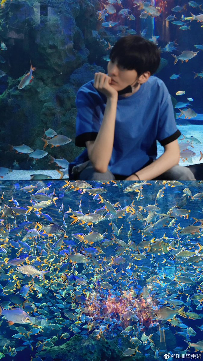 biiiiwenjun's tweet photo. 💬230704 Bi Wenjun weibo update
.
“🐟🐠🐡🦭🦈🐋 “
（1/3)

#Biwenjun #ปี้เหวินจวิ้น #毕雯珺 https://t.co/33nia0vNNe