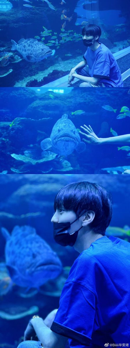 biiiiwenjun's tweet photo. 💬230704 Bi Wenjun weibo update
.
“🐟🐠🐡🦭🦈🐋 “
（1/3)

#Biwenjun #ปี้เหวินจวิ้น #毕雯珺 https://t.co/33nia0vNNe