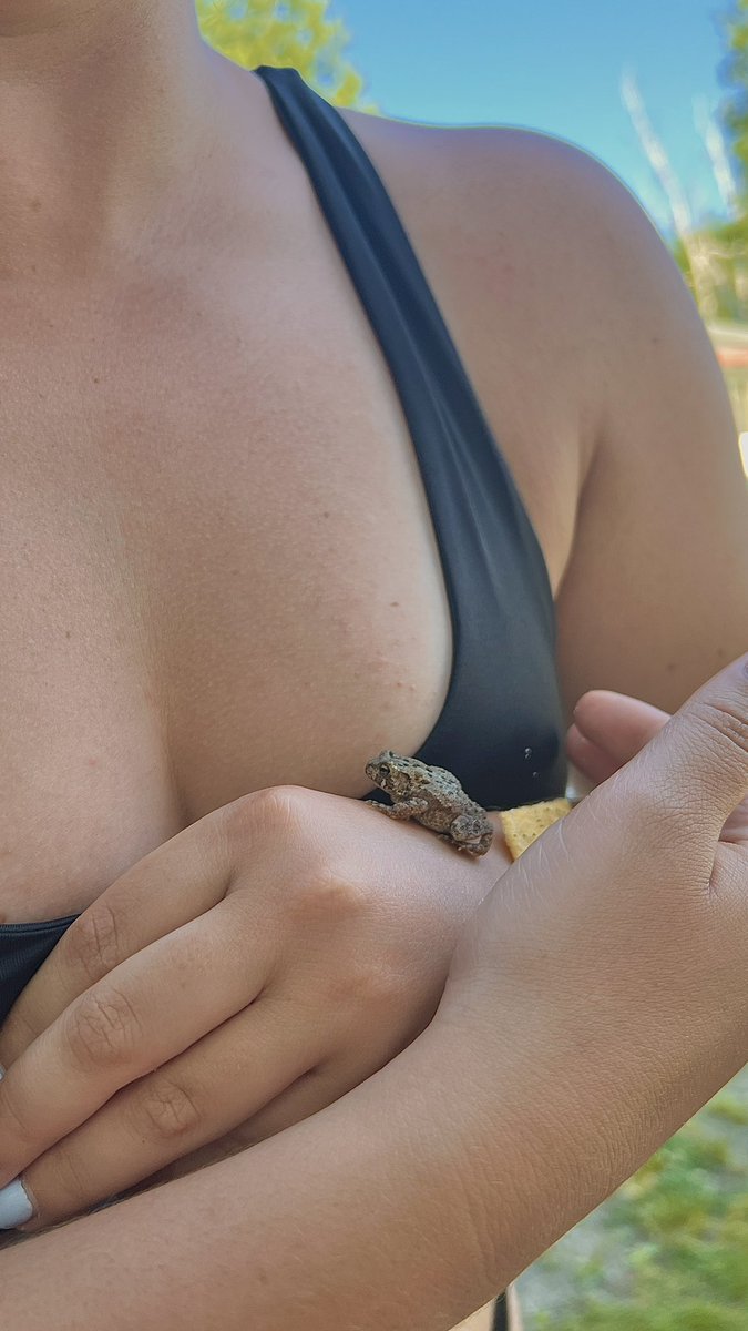 ScremMaster's tweet photo. Drunkenly fell in love with a toad 🐸 https://t.co/d1j9hEqWTi