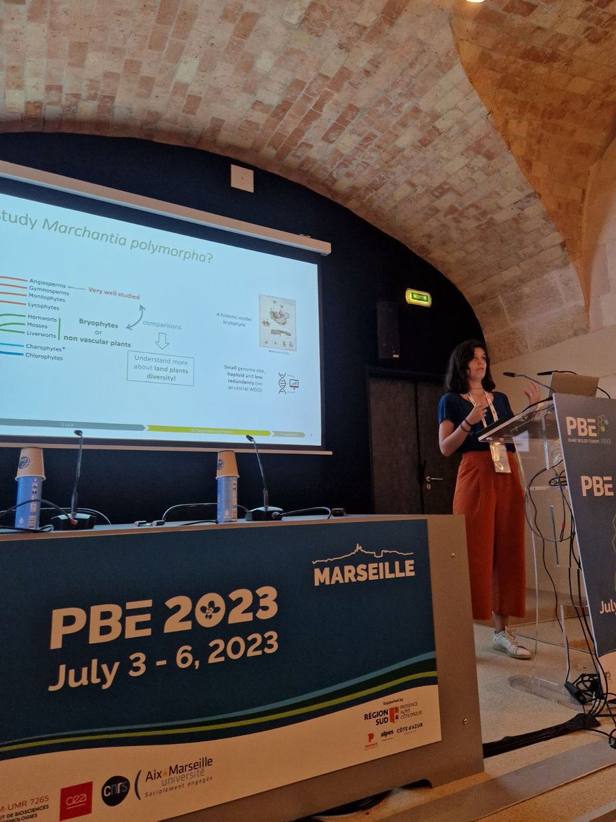 Maxime Bonhomme (@maximebonhomme.bsky.social) tweet media