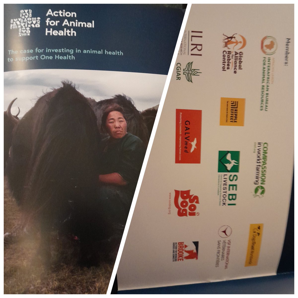 Delighted to host launch of this important #OneHealth report calling for Action For Animal Health at #HouseofLords. 

Great to see coalition working from so many different organisations <a href="/RippleEffectNGO/">Ripple Effect</a> <a href="/TheBrooke/">Brooke 🐴🧡</a> <a href="/ciwf/">Compassion in World Farming UK</a> <a href="/DogsTrust/">Dogs Trust 💛🐶</a>