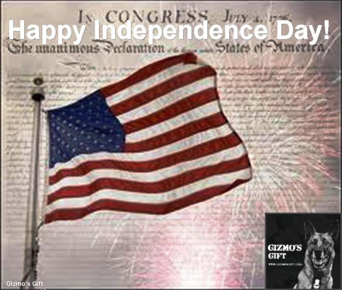 GizmosGift's tweet photo. #IndependenceDay ❤️🤍💙  🇺🇸 https://t.co/00tlY78Paf