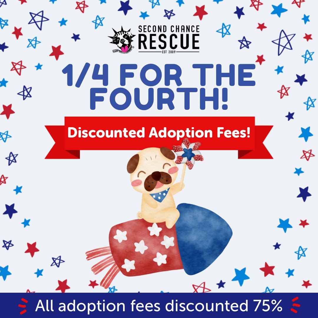 Pay 1/4 for the fourth!🇺🇸 All dog and cat adoption fees are discounted by 75% all day! This discount applies to every application received between now and 11:59 PM TONIGHT! ❤️🤍💙 nycsecondchancerescue.org/adoptables #FourthofJuly2023 #4thofJuly #becausetheymatter