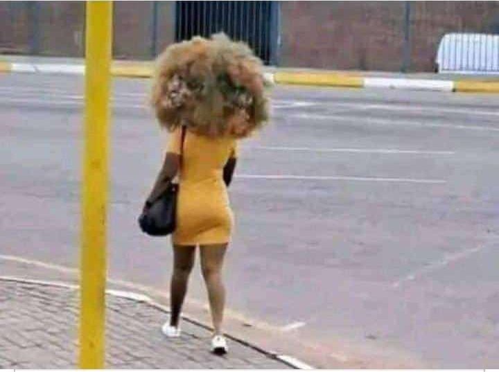 Engabe liyaphi iBhubesi? 😏