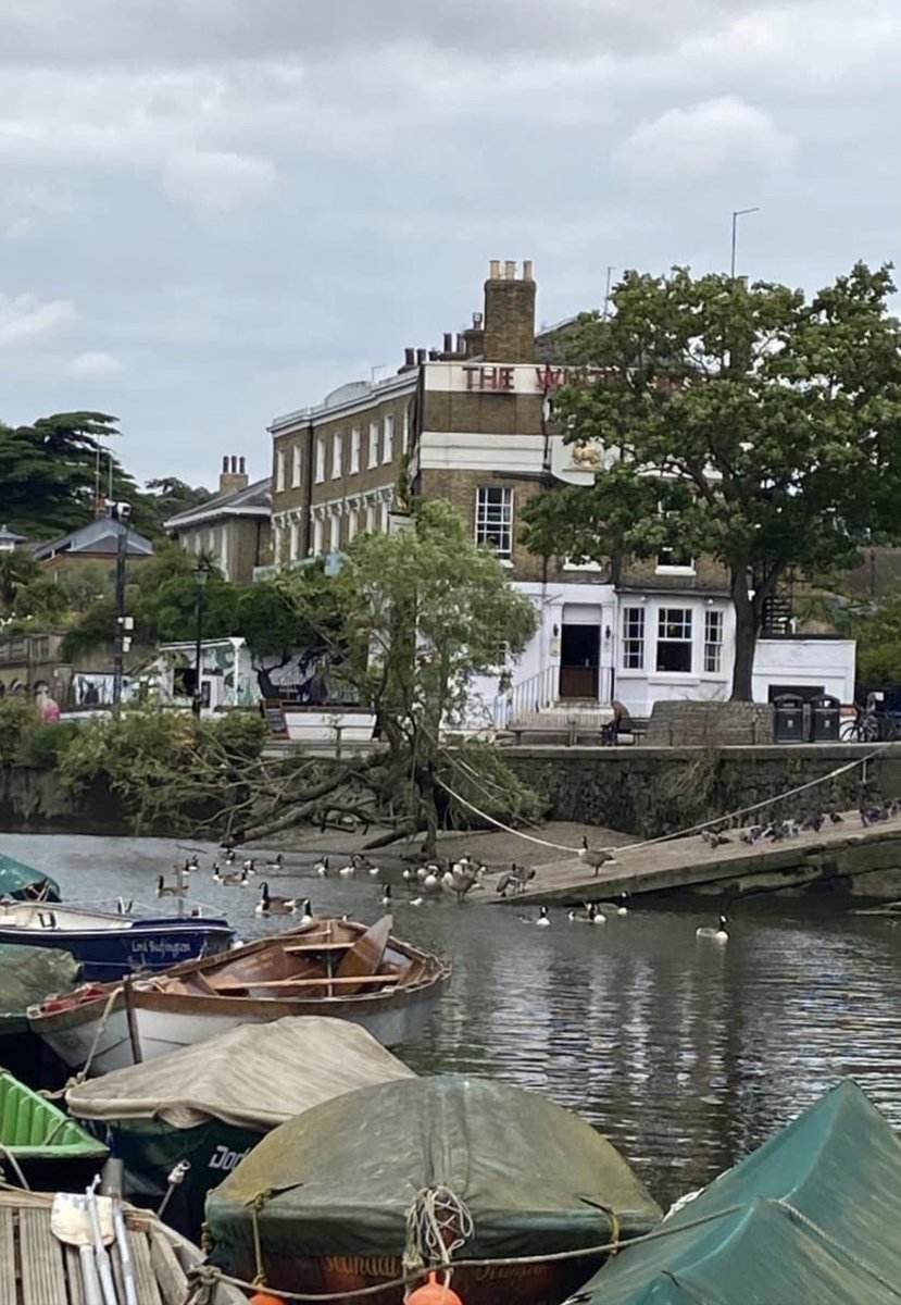 The RBBC tweet media